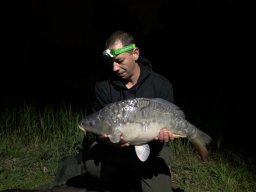 Competities HSV Alfheim